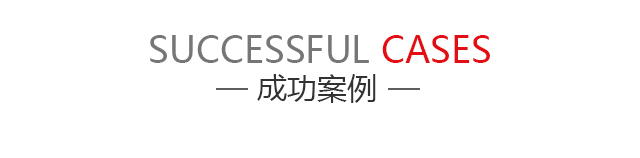 成功案例